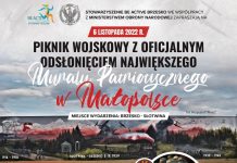 Brzesko. W niedzielę Piknik Wojskowy i rozświetlenie wielkiego Muralu Patriotycznego
