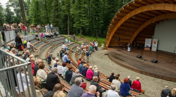 Park Uzbornia: Rodzinna niedziela z NGO