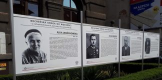 Powiększona ekspozycja plenerowa przed starostwem – ZDJĘCIA