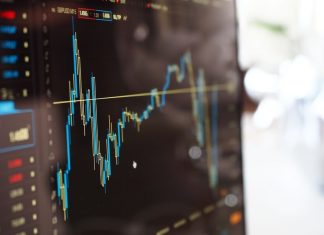 Małopolska zadebiutowała na giełdzie