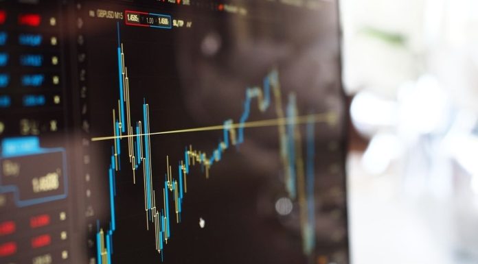 Małopolska zadebiutowała na giełdzie