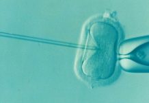 Bochnia. W sobotę zbiórka podpisów pod projektem „Tak dla In Vitro”