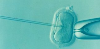 Bochnia. W sobotę zbiórka podpisów pod projektem „Tak dla In Vitro”