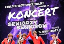 Brzesko. W niedzielę koncert „Seniorzy Seniorom”