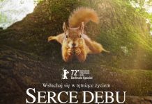 Kino REGIS: Codzienność drzewa – niezwykły film „Serce dębu” – ZWIASTUN