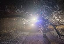 Bochnia. Jakie szkody w miejskiej infrastrukturze wyrządził śnieg?