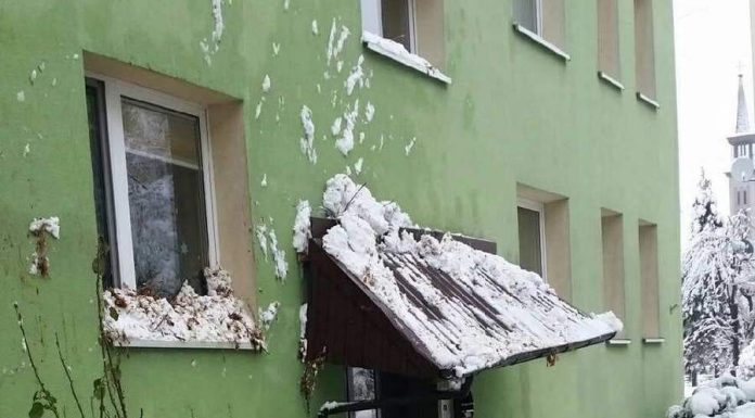 Bochnia. Śnieg połamał gałęzie na Plantach, na os. Jana drzewo upadło na blok – ZDJĘCIA, WIDEO