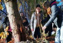 EkoMechanik – uczniowie realizowali działania proekologiczne