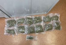 Brzescy policjanci zatrzymali 42-latka z kilogramem marihuany