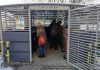 Mieszkańcy Bochni przestają segregować odpady? Radni skontrolowali śmietniki na osiedlach – ZDJĘCIA