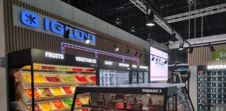 Firma IGLOO planuje zwiększyć zatrudnienie nawet o 30%