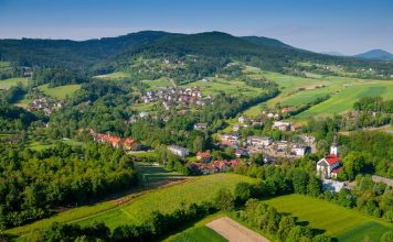 🔸 Kandydaci do RADY POWIATU BOCHEŃSKIEGO – poznaj ich!