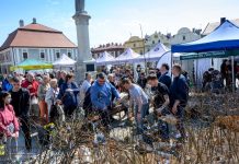 📸🎞 Na Rynku w Bochni rozdawano sadzonki drzew – ZDJĘCIA, WIDEO