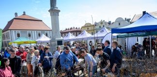 📸🎞 Na Rynku w Bochni rozdawano sadzonki drzew – ZDJĘCIA, WIDEO