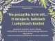 Książnice. W środę Jan Flasza opowie o dziejach, ludziach i zabytkach Bochni