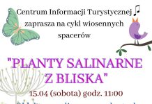 W sobotę spacer po Plantach Salinarnych w Bochni