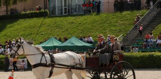 Niepołomice. II Międzynarodowy Konkurs Tradycyjnego Powożenia – ZDJĘCIA