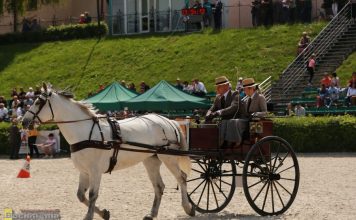 Niepołomice. II Międzynarodowy Konkurs Tradycyjnego Powożenia – ZDJĘCIA