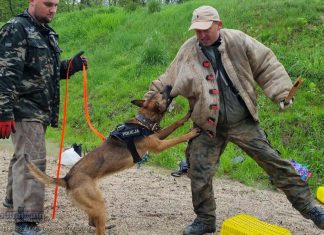 Piknik „10 strzałów ku chwale Ojczyzny” – ZDJĘCIA, WIDEO