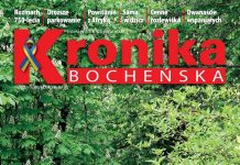 Nowa Kronika: Planty czekają