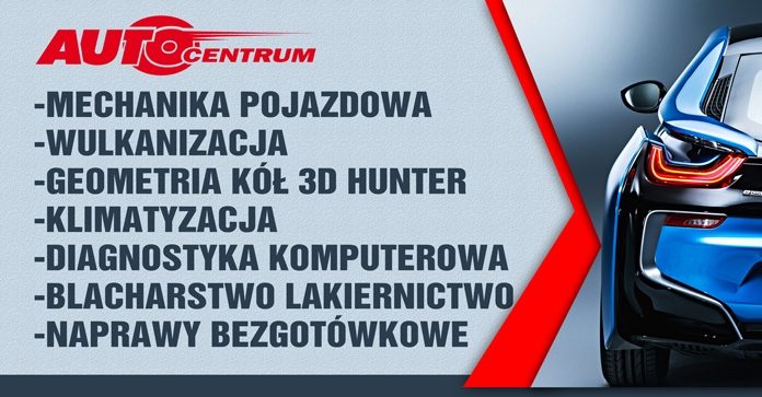 🔸 AUTO SERWIS – Dariusz Palej