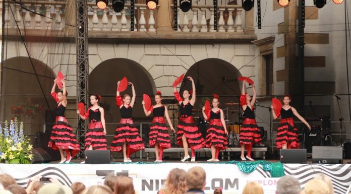 31. Dni Niepołomic. Sobotnie atrakcje – ZDJĘCIA