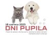 Weekend: Dni Pupila w Niepołomicach – PROGRAM