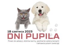 Weekend: Dni Pupila w Niepołomicach – PROGRAM