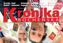 Nowa Kronika: Dziewczyny lubią brąz