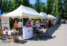 Park Uzbornia w Bochni. Rodzinna Niedziela z NGO – ZDJĘCIA