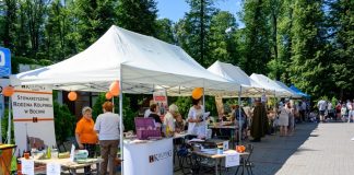 Park Uzbornia w Bochni. Rodzinna Niedziela z NGO – ZDJĘCIA