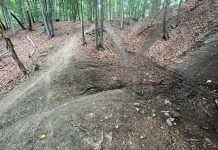 Mieszkańcy Sobolowa interweniują ws. rozjeżdżania lasów przez quady i motocykle