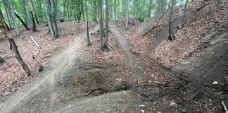 Mieszkańcy Sobolowa interweniują ws. rozjeżdżania lasów przez quady i motocykle