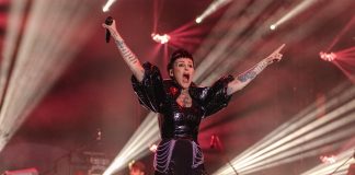 Koncert Agnieszki Chylińskiej w Borzęcinie – ZDJĘCIA