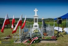 Nieszkowice Wielkie. Rocznica zestrzelenia „Liberatora” – ZDJĘCIA