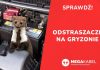 🔸 MEGAKABEL.pl – Ochrona przed gryzoniami i kunami SPRAWDŹ!