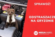 🔸 MEGAKABEL.pl – Ochrona przed gryzoniami i kunami SPRAWDŹ!