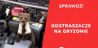 🔸 MEGAKABEL.pl – Ochrona przed gryzoniami i kunami SPRAWDŹ!