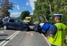 Gruzin z zarzutami po wypadku koło Czchowa. W aucie byli nielegalni imigranci