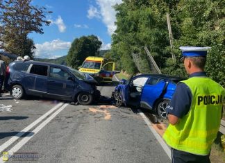 Gruzin z zarzutami po wypadku koło Czchowa. W aucie byli nielegalni imigranci
