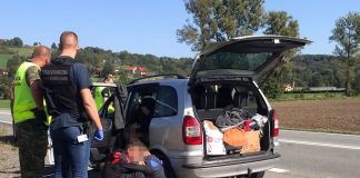 Nielegalni imigranci i przemytnik zatrzymani w rejonie Brzeska
