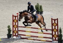 Niepołomice. Ostatnie zawody konne w tym roku – ZDJĘCIA