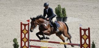 Niepołomice. Ostatnie zawody konne w tym roku – ZDJĘCIA