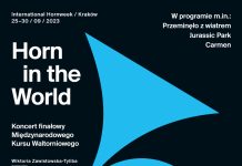 „Horn in the World”. W sobotę niezwykły koncert w bocheńskiej kopalni