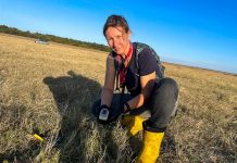 Bocian Bezprym z gminy Drwinia zginął w Rumunii