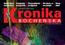 Nowa Kronika: Tężnia zmysłów