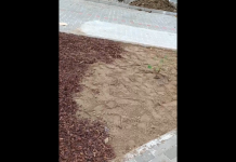 Radny (powiatowy) nie wytrzymał. Kolejne kuriozum przy ul. Poniatowskiego – WIDEO