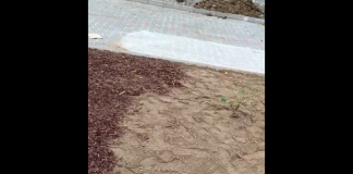 Radny (powiatowy) nie wytrzymał. Kolejne kuriozum przy ul. Poniatowskiego – WIDEO