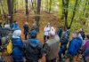 Spacer z archeologiem do grodziska w Kopalinach – ZDJĘCIA