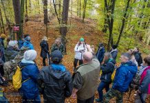 Spacer z archeologiem do grodziska w Kopalinach – ZDJĘCIA